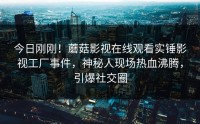 今日刚刚！蘑菇影视在线观看实锤影视工厂事件，神秘人现场热血沸腾，引爆社交圈