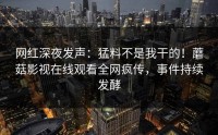 网红深夜发声：猛料不是我干的！蘑菇影视在线观看全网疯传，事件持续发酵