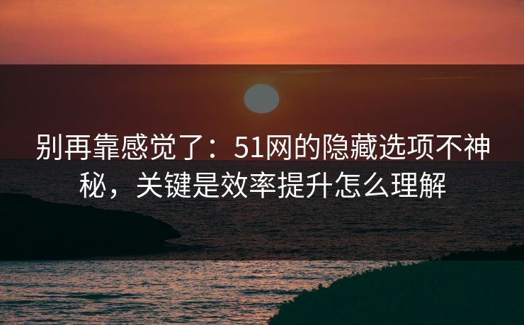 别再靠感觉了：51网的隐藏选项不神秘，关键是效率提升怎么理解