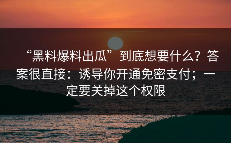 “黑料爆料出瓜”到底想要什么?答案很直接:诱导你开通免密支付;一定要关掉这个权限 “黑料爆料出瓜”到底想要什么?答案很直接:诱导你开通免密支付;一定要关掉这个权限