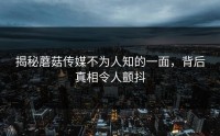 揭秘蘑菇传媒不为人知的一面，背后真相令人颤抖