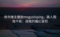 夜市摊主播放mogushiping，路人围观不断：夜晚的魔幻音符