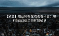【紧急】蘑菇影视在线观看科普：爆料背后5条亲测有效秘诀