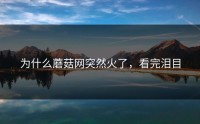 为什么蘑菇网突然火了，看完泪目