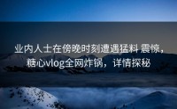业内人士在傍晚时刻遭遇猛料 震惊，糖心vlog全网炸锅，详情探秘
