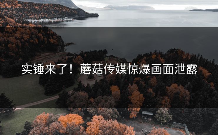 实锤来了！蘑菇传媒惊爆画面泄露