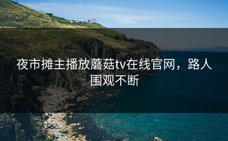 夜市摊主播放蘑菇tv在线官网，路人围观不断