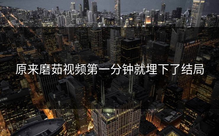原来磨茹视频第一分钟就埋下了结局