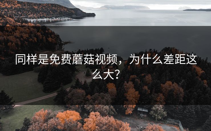 同样是免费蘑菇视频，为什么差距这么大？