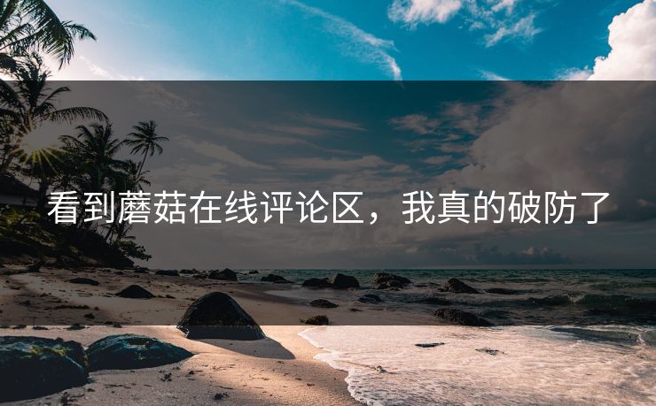 看到蘑菇在线评论区，我真的破防了