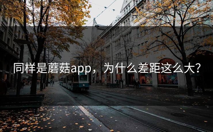 同样是蘑菇app，为什么差距这么大？