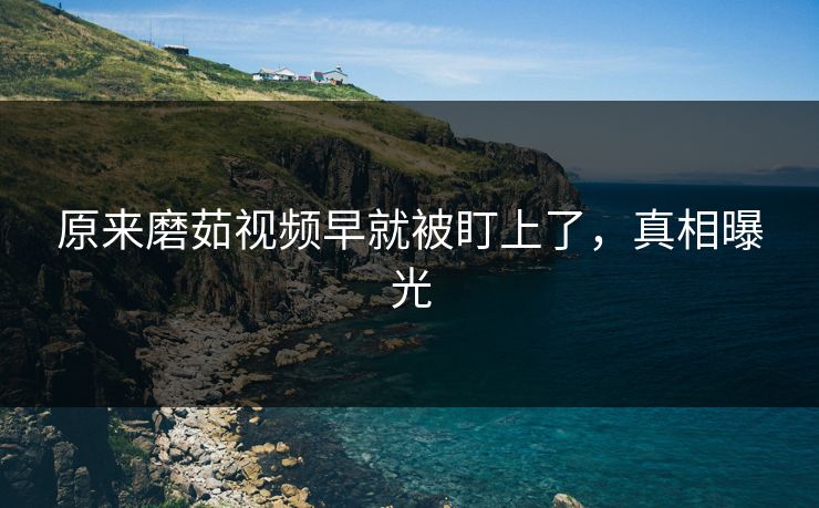 原来磨茹视频早就被盯上了，真相曝光