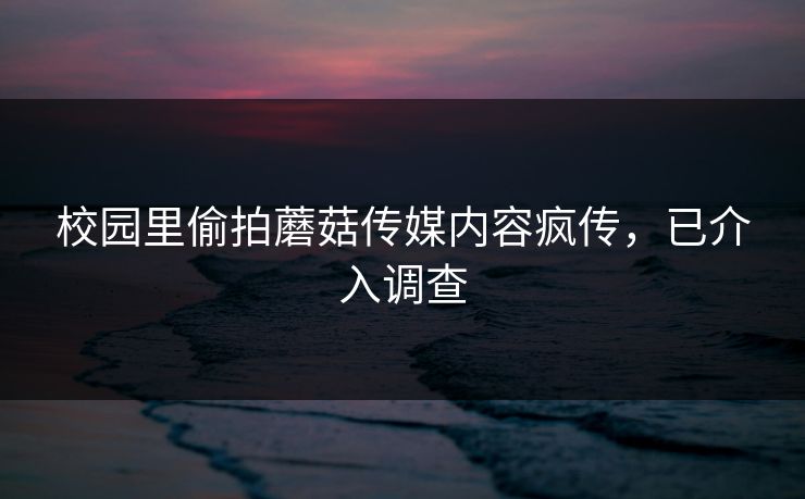 校园里偷拍蘑菇传媒内容疯传，已介入调查
