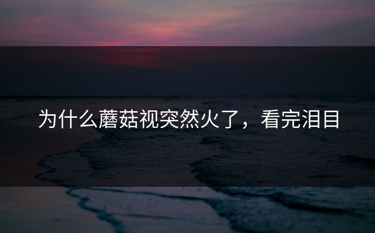 为什么蘑菇视突然火了，看完泪目