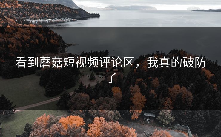 看到蘑菇短视频评论区，我真的破防了