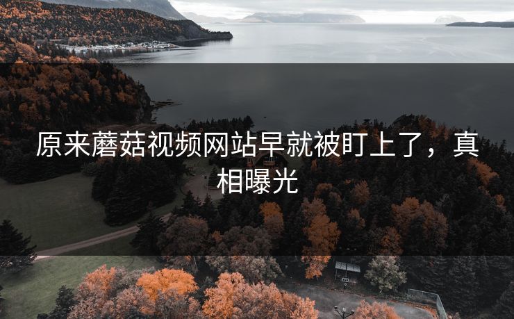 原来蘑菇视频网站早就被盯上了，真相曝光