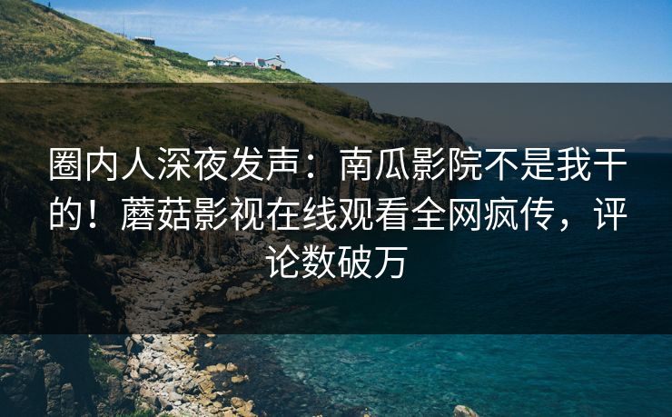 圈内人深夜发声：南瓜影院不是我干的！蘑菇影视在线观看全网疯传，评论数破万