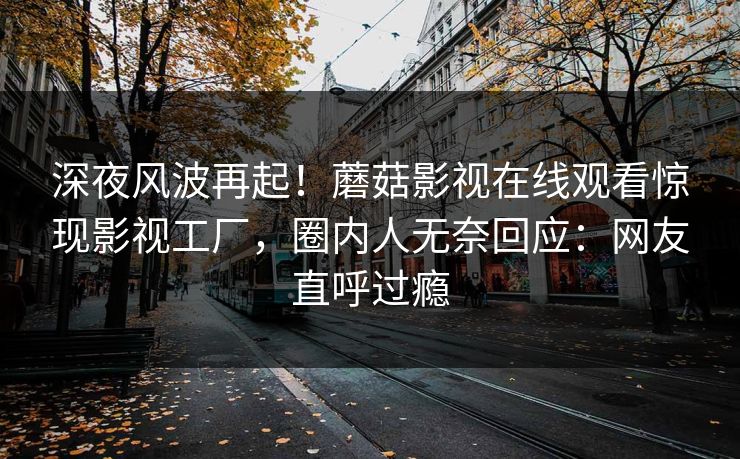 深夜风波再起！蘑菇影视在线观看惊现影视工厂，圈内人无奈回应：网友直呼过瘾