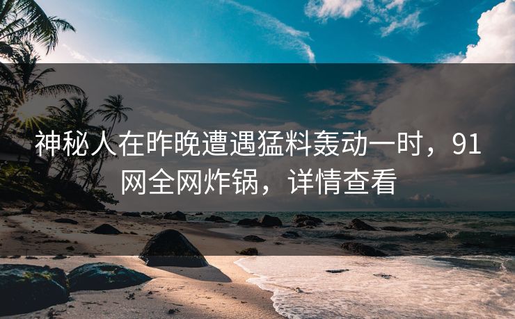 神秘人在昨晚遭遇猛料轰动一时，91网全网炸锅，详情查看